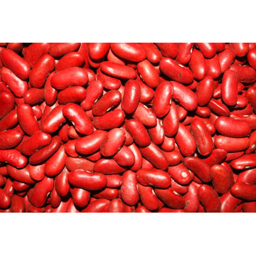 Top Quality feijão vermelho (180-200 / 100G)